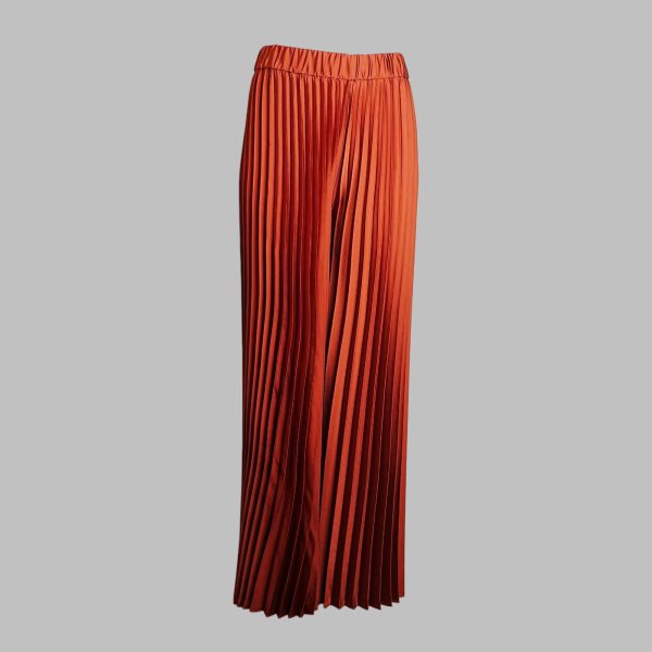 Pleated Pant Skirt